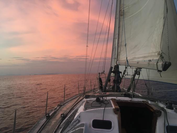 25552838_10155711346521900_1102811130_o